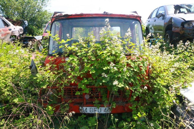 Yer İstanbul! Servet değerindeki otomobiller böyle çürümeye terk edildi - Resim: 3