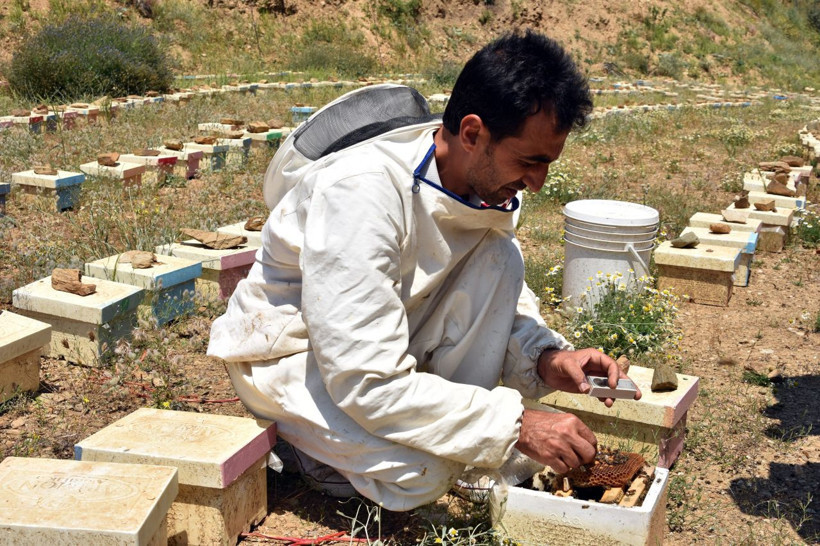 Bitlis’te üretiliyor tüm Türkiye’ye satılıyor - Resim: 1