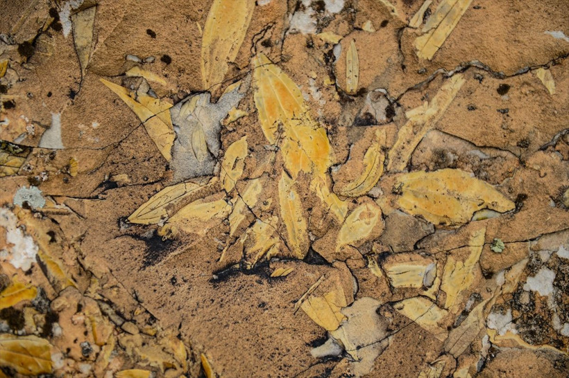 Ağrı Dağı eteklerinde kayaların içinde tespit edildi araştırma sonuçları herkesi şaşırttı - Resim: 3