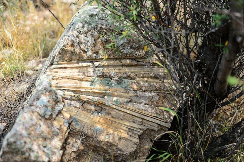 Ağrı Dağı eteklerinde kayaların içinde tespit edildi araştırma sonuçları herkesi şaşırttı - Resim: 4