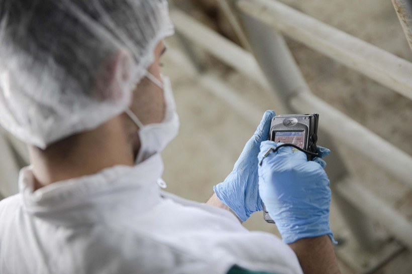 Konya'da pandemi sürecine uygun hijyenik kurban kesimi - Resim: 4