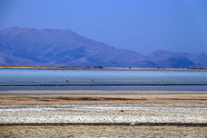 Van Gölü'ndeki görüntü ürküttü! Küresel ısınmayla göl 200 metre çekildi - Resim: 3