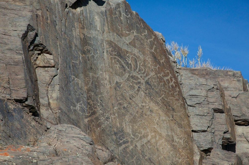 Sibirya'da 2500 yıllık mezardan çıkanlar görenleri şaşırttı - Resim: 2