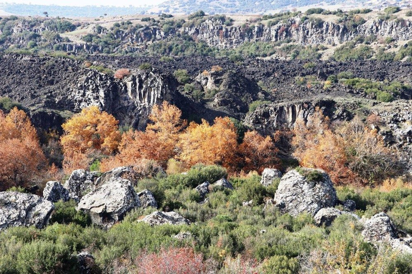 Manisa'da bulunuyor Türkiye'de ilk ve tek! Görenler hayran kaldı - Resim: 4