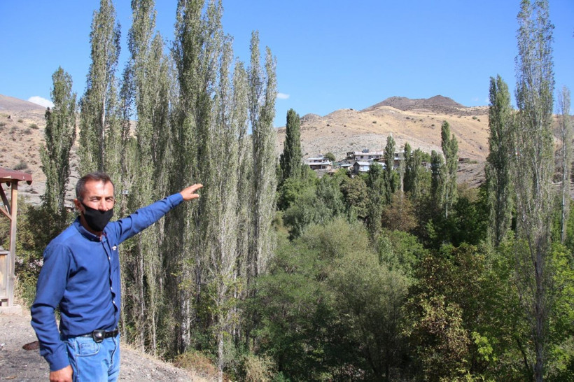 Erzurum'da altın rezervi bulundu! Yılda 400 milyon dolar getirecek - Resim: 1