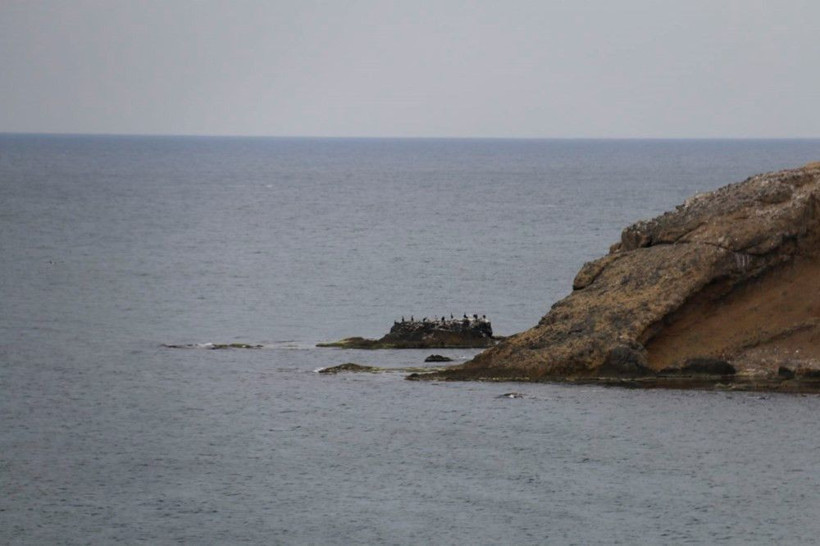 İstanbul'un ıssız adası Elmasburnu güzelliği ile görenleri büyülüyor - Resim: 3