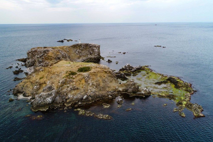 İstanbul'un ıssız adası Elmasburnu güzelliği ile görenleri büyülüyor - Resim: 1