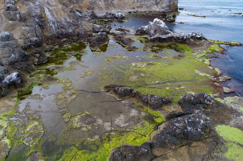 İstanbul'un ıssız adası Elmasburnu güzelliği ile görenleri büyülüyor - Resim: 4