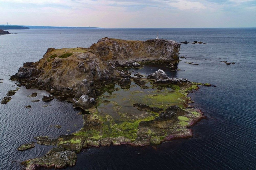 İstanbul'un ıssız adası Elmasburnu güzelliği ile görenleri büyülüyor - Resim: 2
