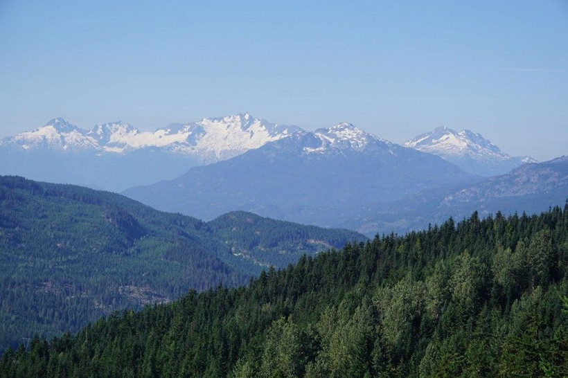 Alplerdeki buzulları eriyince ortaya çıkanlar bilim dünyasını şaşırttı - Resim: 2