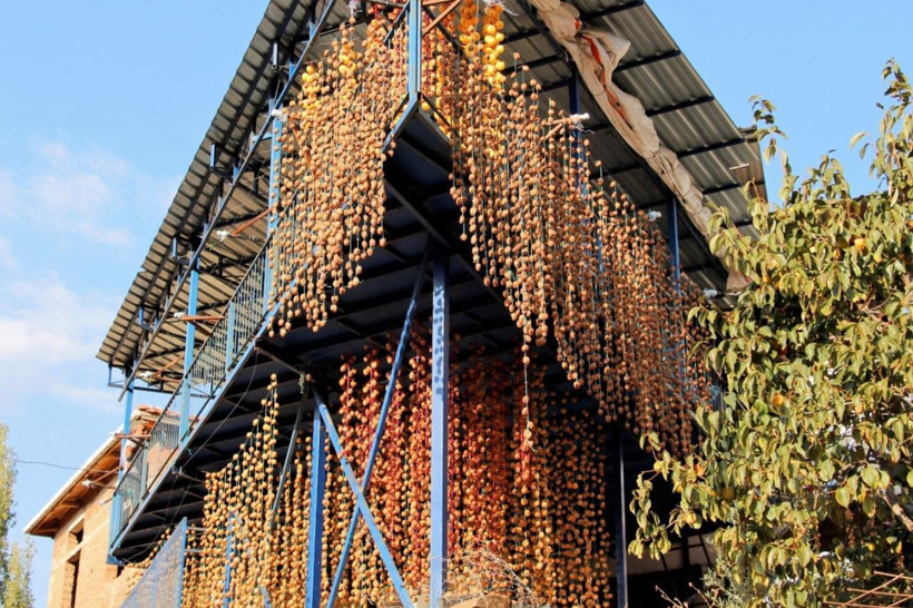 İzmirli kadın 5 kiloyla başladı 60 ton üretiyor paraya para demiyor - Resim: 4