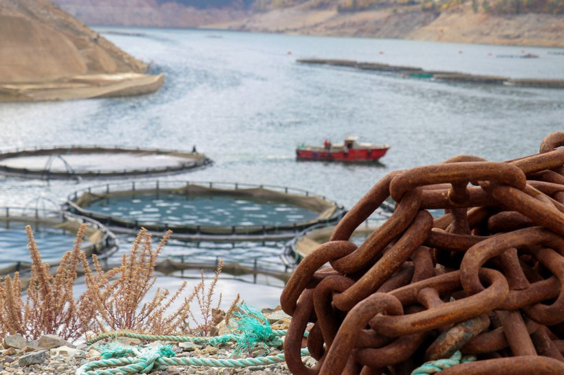 Dünyanın en iyisi Gümüşhane'de! Denizi yok ama Rusya'ya ihraç ediyor - Resim: 2