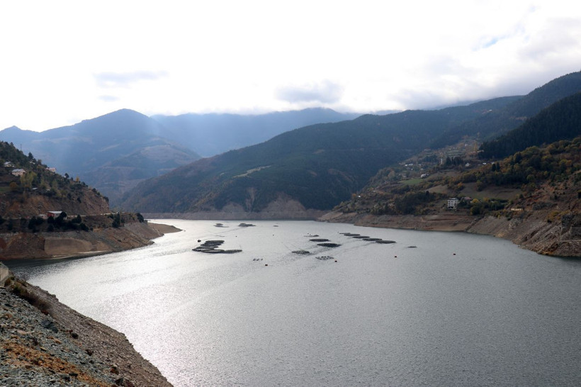 Dünyanın en iyisi Gümüşhane'de! Denizi yok ama Rusya'ya ihraç ediyor - Resim: 3