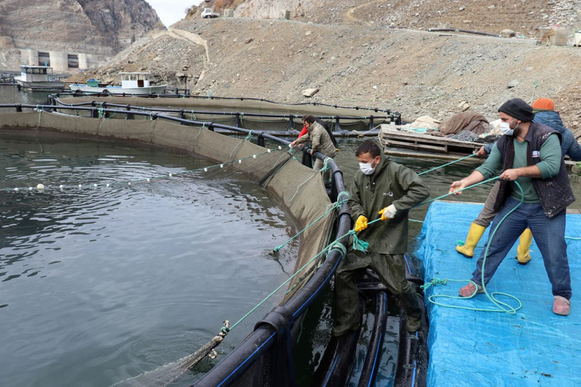 Dünyanın en iyisi Gümüşhane'de! Denizi yok ama Rusya'ya ihraç ediyor - Resim: 4