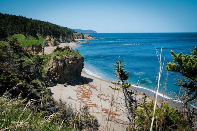 Rusya bu adaya gidene para ödeyecek! Sahalin Adası 2 bin lira kazandıracak - Resim: 1