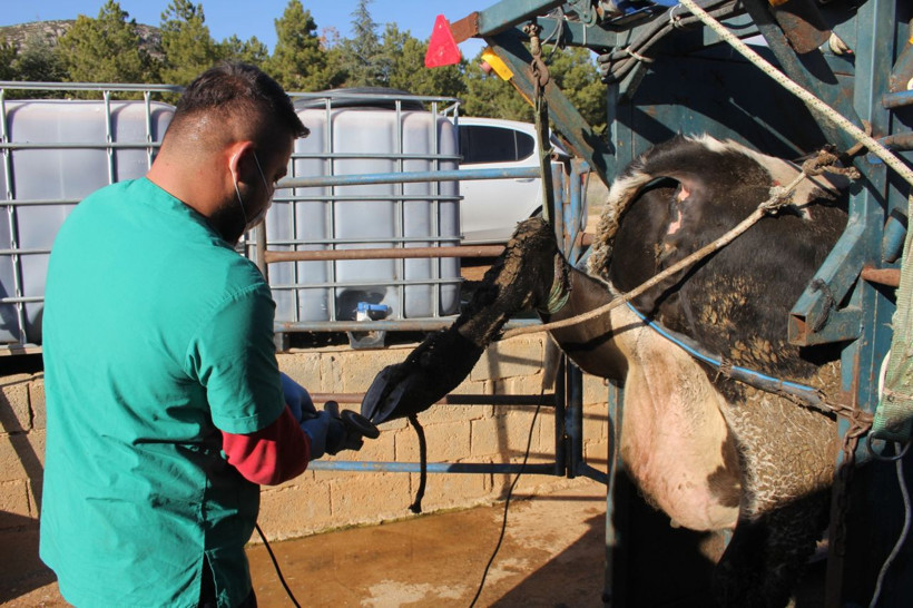 Isparta'da fırsatı değerlendirdi meslek edindi! Köy köy gezip bu işi yapıyor - Resim: 1