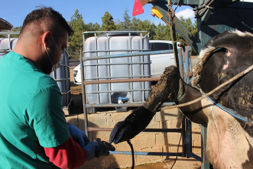 Isparta'da fırsatı değerlendirdi meslek edindi! Köy köy gezip bu işi yapıyor - Resim: 2