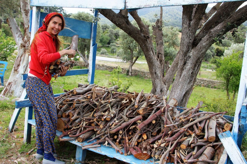 Ünlü mahkenin Bodrum'daki villasını soydular! Kamyonla gelip hayvanlarını bile çaldılar - Resim: 3