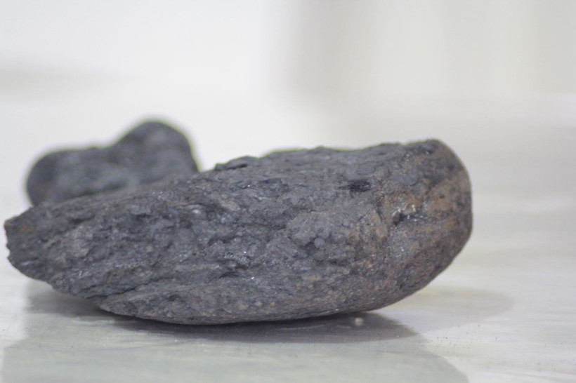 'Kimseye kaptırma' dedi! Sinop'ta tarlada buldu ABD'den milyonluk teklif geldi - Resim: 2