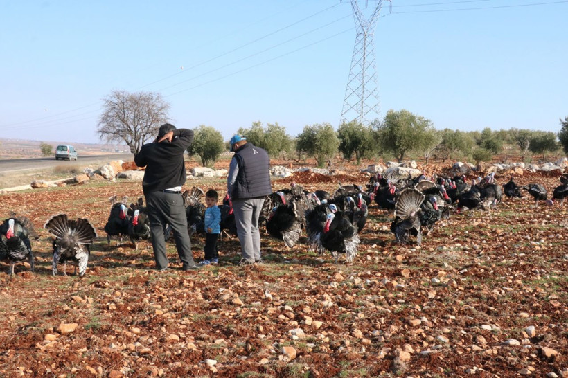 Markette bulamayınca Gaziantep'te üretmeye başladı! Paraya para demiyor - Resim: 1