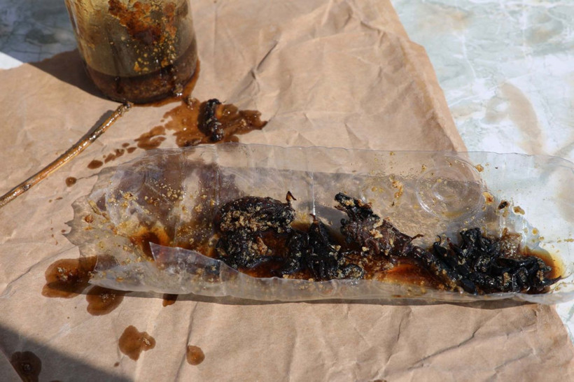 Manisa'da 21 yıl önce karışım keşfetti akrep topluyor! İlk eşinde denedi başarılı oldu - Resim: 4