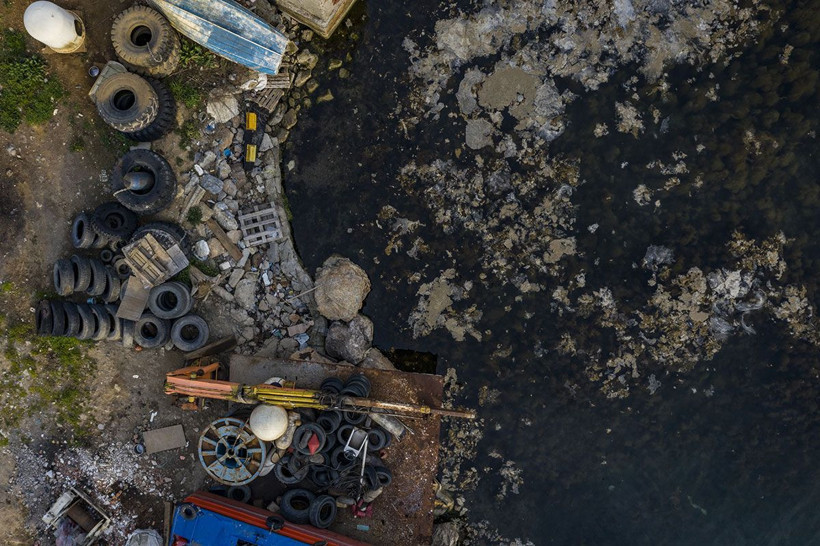 İstanbul merak ediyordu Marmara Denizi'ndeki değişimin sırrı çözüldü - Resim: 4