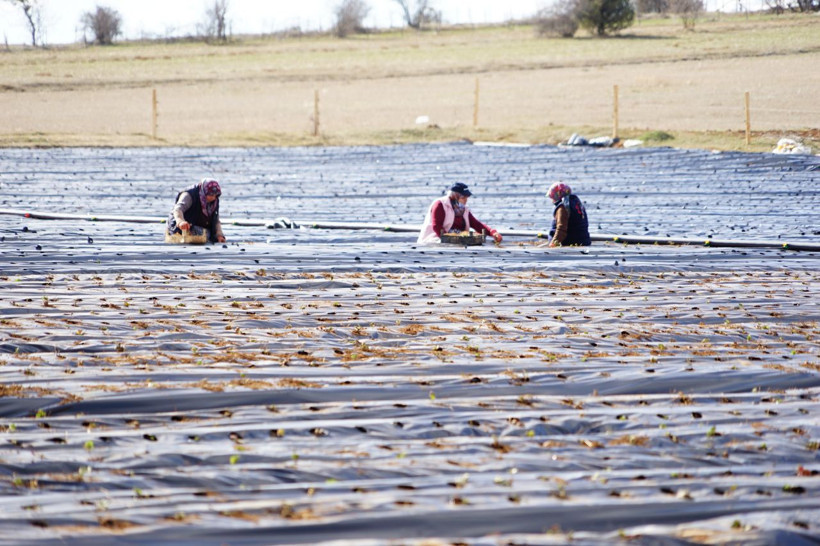 İstanbullu gelin korona salgınında evde oturmaktan sıkılınca bu işe başladı! Şimdi ihracat yapıyor - Resim: 3