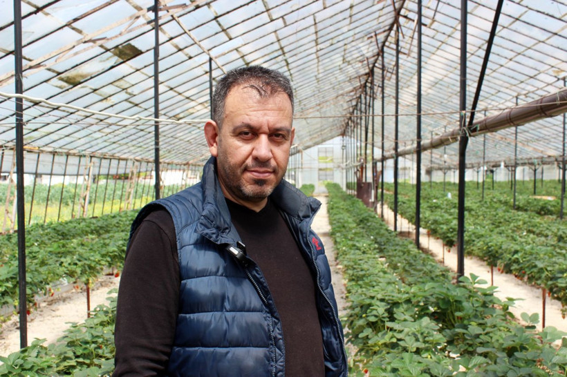 Hatay'da topraksız çilek üretiyor! Yılda ortalama 300 bin lira kazanıyor - Resim: 3