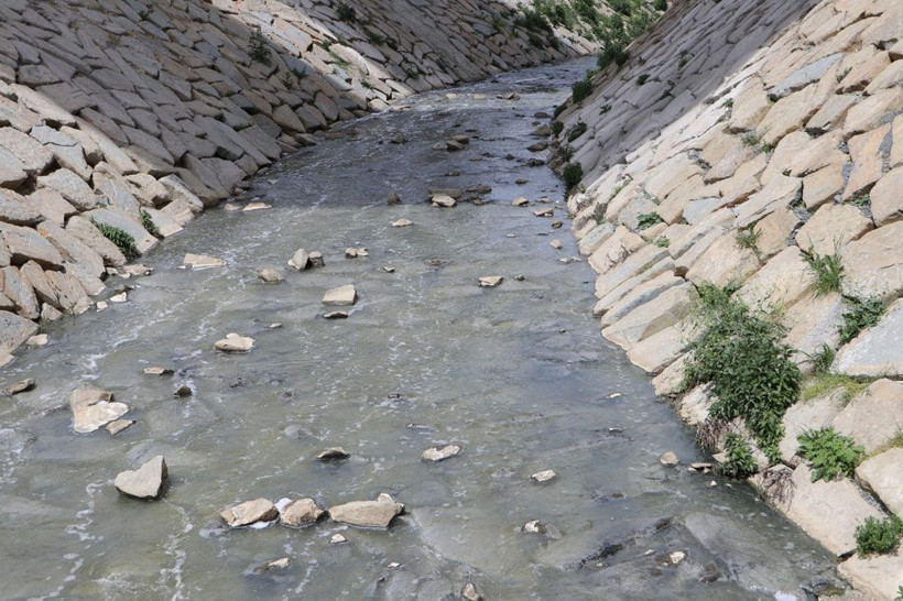 Tekirdağ'da tedirgin eden balık ölümleri! Muhtar isyan etti - Resim: 3
