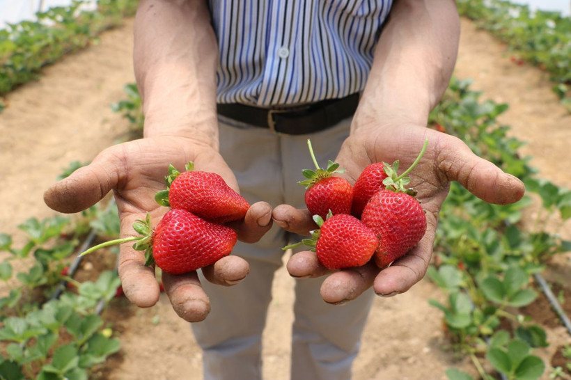 Kızı tavsiye edince Sivas'ta bu işe başladı! Siparişlere yetişemiyor - Resim: 2