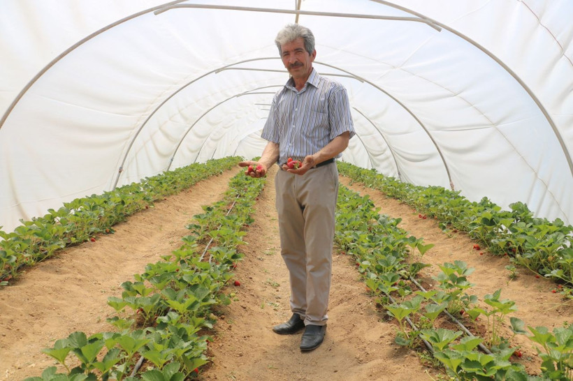 Kızı tavsiye edince Sivas'ta bu işe başladı! Siparişlere yetişemiyor - Resim: 3