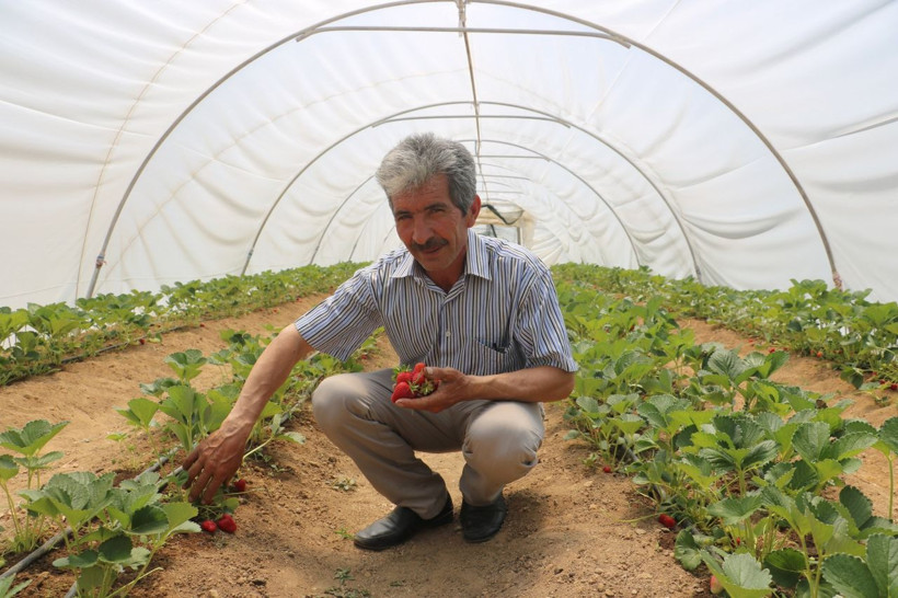 Kızı tavsiye edince Sivas'ta bu işe başladı! Siparişlere yetişemiyor - Resim: 4