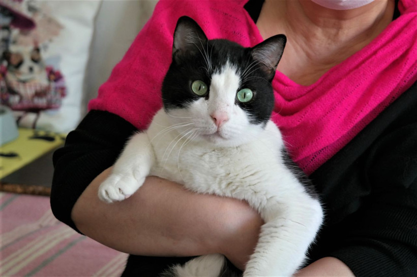 Evcil hayvan sahiplenmenin faydaları saymakla bitmiyor! - Resim: 2