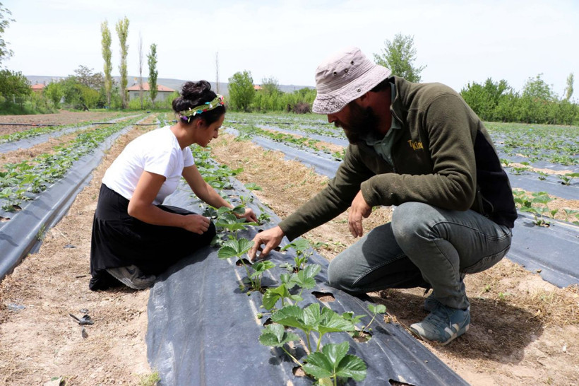 Şehirden köye döndüler hayatları değişti! Kayserili çift üretici oldu: Başka kimse yok - Resim: 1