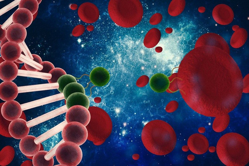 ABD'li bilim insanlarından iyi haber: Hafif Covid-19'dan sonra bir ömür boyu antikor üretilebilir - Resim: 4