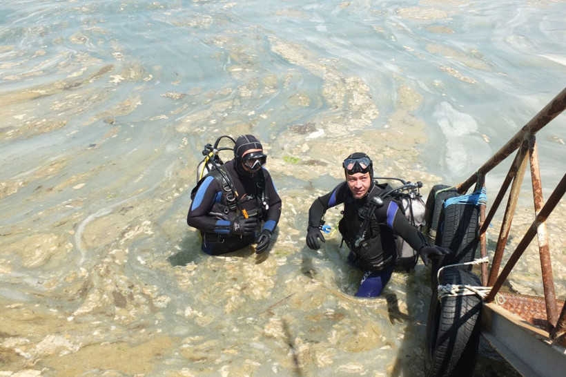 Marmara Denizi doğal felaket yaşıyor Prof. Mustafa Sarı kötü haberi verdi - Resim: 4