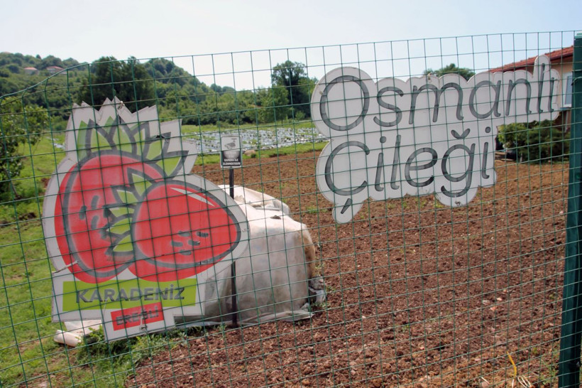 Zonguldak'ta üretiyor 7/24 kamerayla izleniyor! Fiyatını duyan inanamadı siparişlere yetişemiyor - Resim: 4