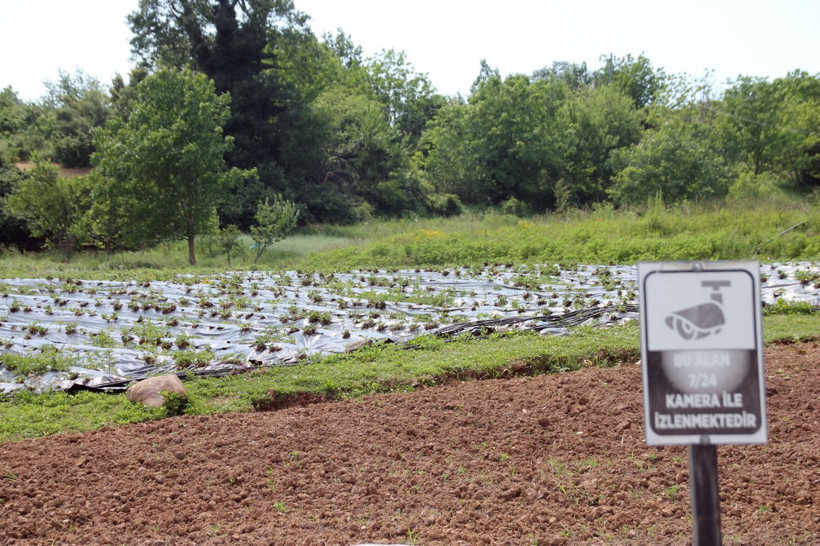 Zonguldak'ta üretiyor 7/24 kamerayla izleniyor! Fiyatını duyan inanamadı siparişlere yetişemiyor - Resim: 1