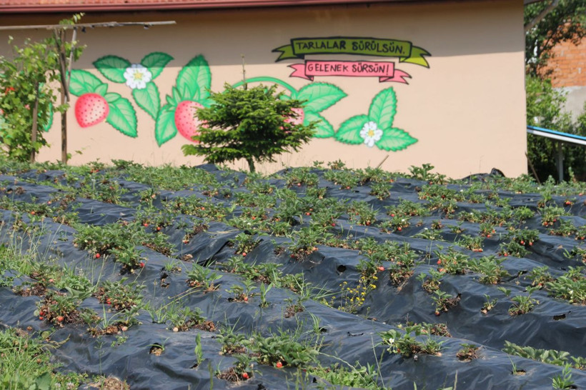 Zonguldak'ta üretiyor 7/24 kamerayla izleniyor! Fiyatını duyan inanamadı siparişlere yetişemiyor - Resim: 2