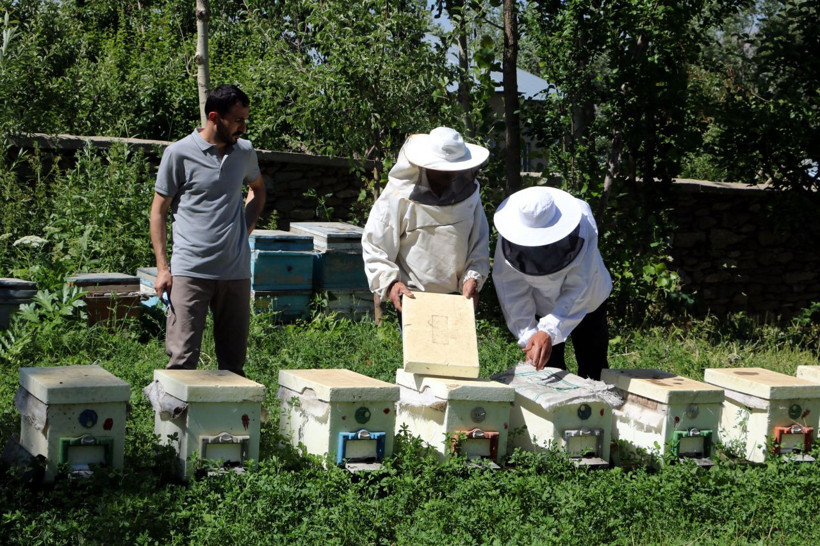 Hakkari'de arıcılıkla 10 çocuk büyüttü mesleklerini duyan şaştı kaldı - Resim: 1