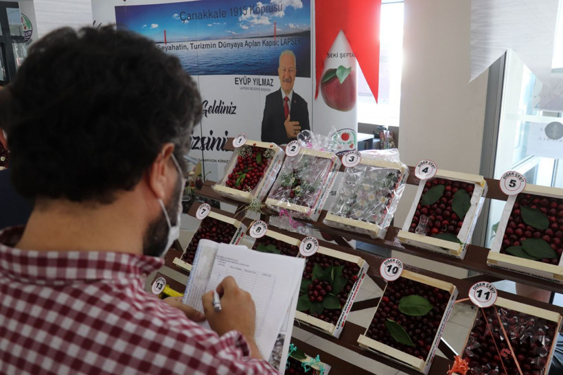 İngiliz Kraliyet Ailesi'nin vazgeçilmezi! Türkiye'den sipariş ediyorlar kilosu 50 lira - Resim: 3