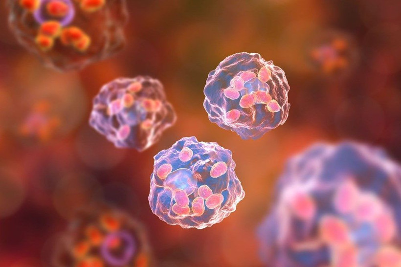 27 milyon kişi etkilenecek! ABD'de et yiyen parazit alarmı Türkiye'de de görüldü - Resim: 4