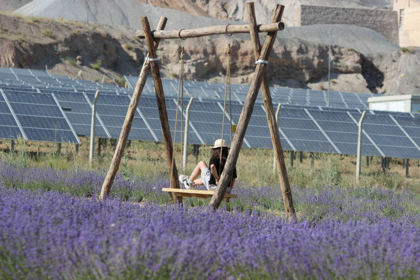 'Olmaz yapamazsın' diyenlere inat başardı! Kayseri'de gören şaştı kaldı talep patladı - Resim: 4
