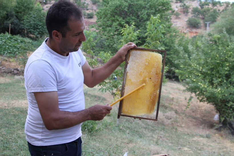 Devlet desteğiyle Elazığ'da bu işe başladı! 2 katına çıkardı: Sakın korkmasınlar - Resim: 2