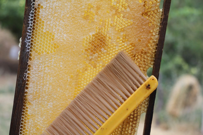 Devlet desteğiyle Elazığ'da bu işe başladı! 2 katına çıkardı: Sakın korkmasınlar - Resim: 3