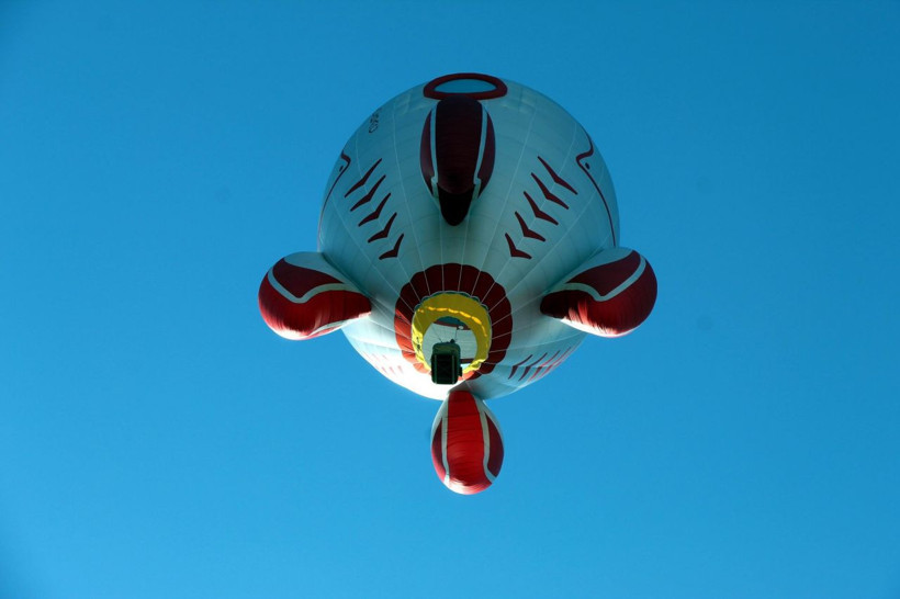 Nevşehir'de görenler şaştı kaldı! Türkiye'de bir ilk: 3 ayda üretildi - Resim: 2