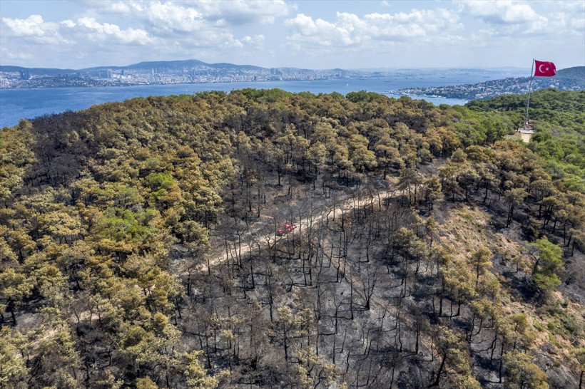 Heybeliada saatler içinde küle döndü! Yangın nedeniyle zarar gören alan görüntülendi - Resim: 3