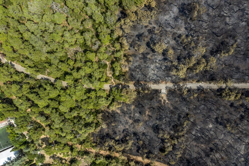 Heybeliada saatler içinde küle döndü! Yangın nedeniyle zarar gören alan görüntülendi - Resim: 4