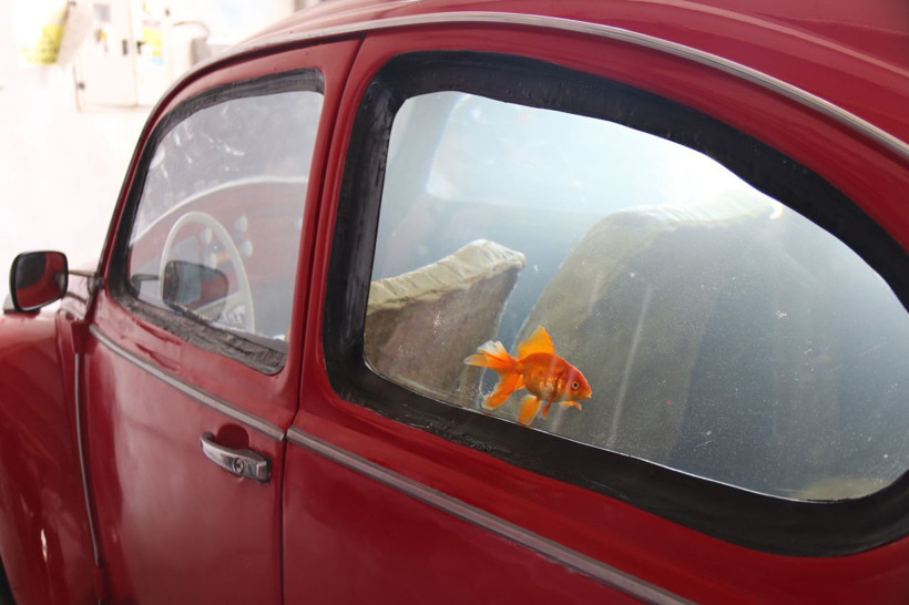 Eskişehir'de özel olarak üretildi Türkiye'de tek! Özelliği duyan inanamadı - Resim: 2