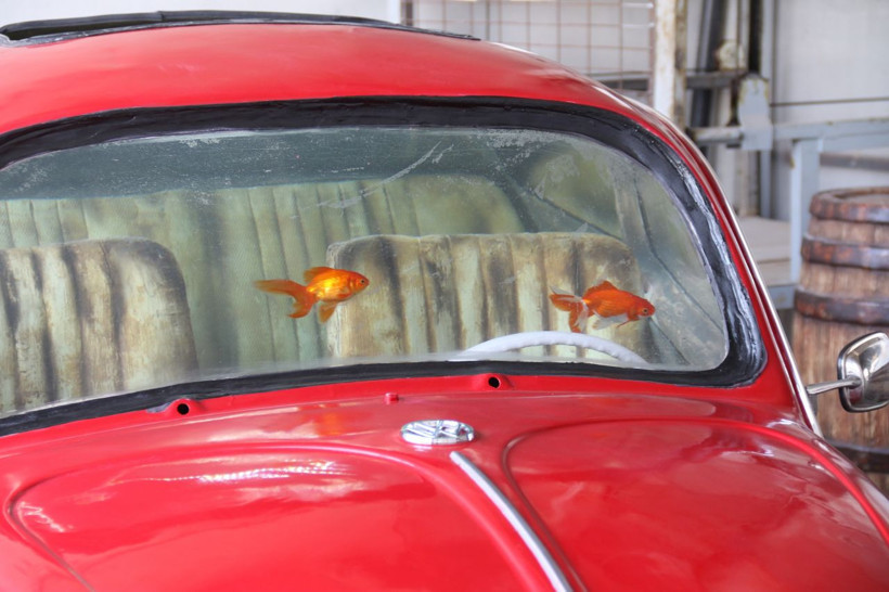 Eskişehir'de özel olarak üretildi Türkiye'de tek! Özelliği duyan inanamadı - Resim: 3